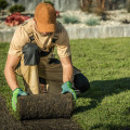 Synergy In Landscaping: How Commercial Turf In Scottsdale Enhances Arboriculture