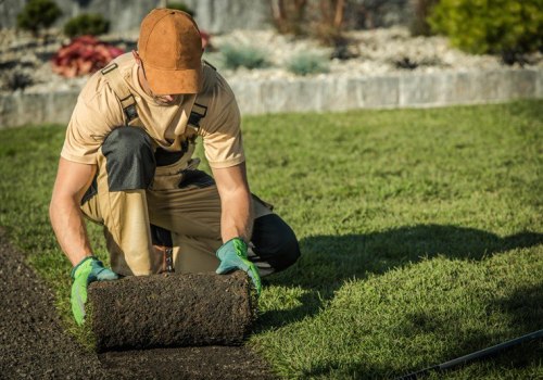 Synergy In Landscaping: How Commercial Turf In Scottsdale Enhances Arboriculture